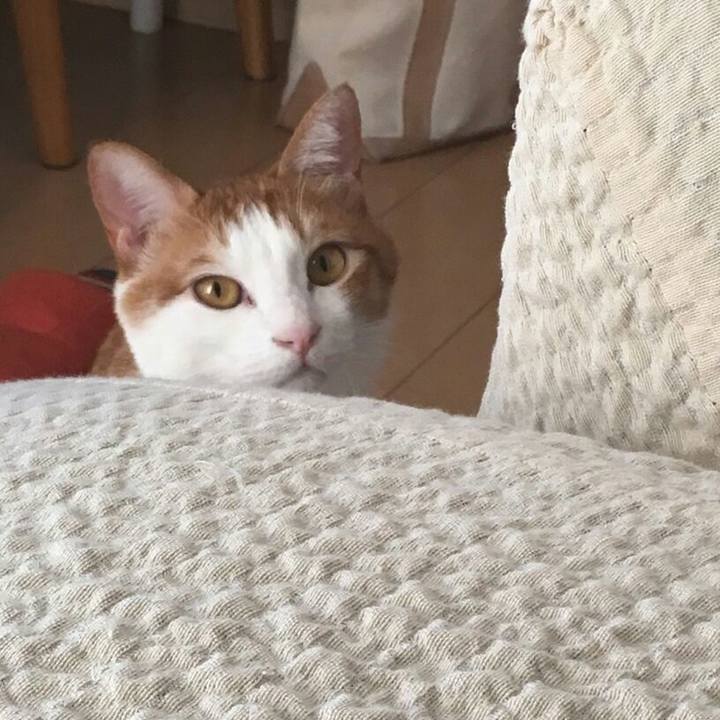 20e87f45 1d20 478e 8f14 00e5ff8e7b28