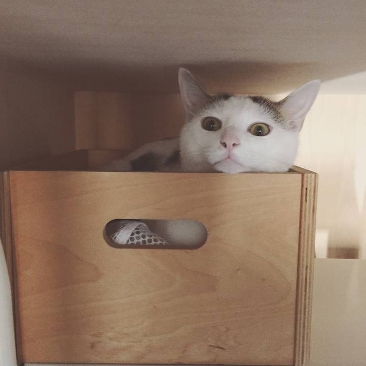 20e8a0f0 c1a0 4087 b322 8cb14b48eb61