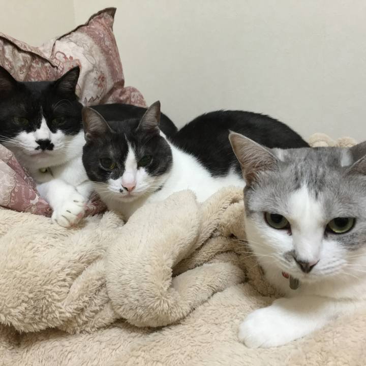 20e8bbb8 8b36 4b08 90ab cb84e42fd640