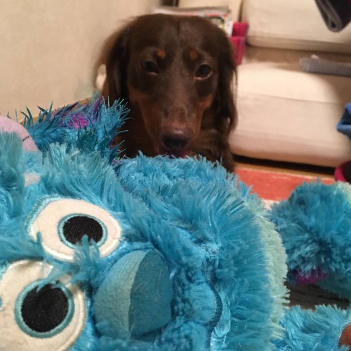 20e95ccf 7ef4 419c 8c3d 16ef275d40d5