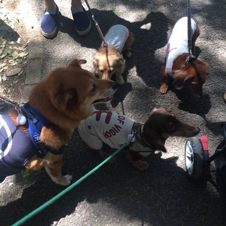 20e9706d 8a8f 4b12 80cd e7529c119b25