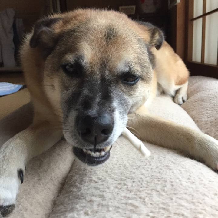 20e9a3c7 c835 48f7 a151 919140d85145