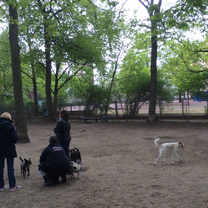 20ea35e5 9914 4bc3 a689 3613fcfe73dc