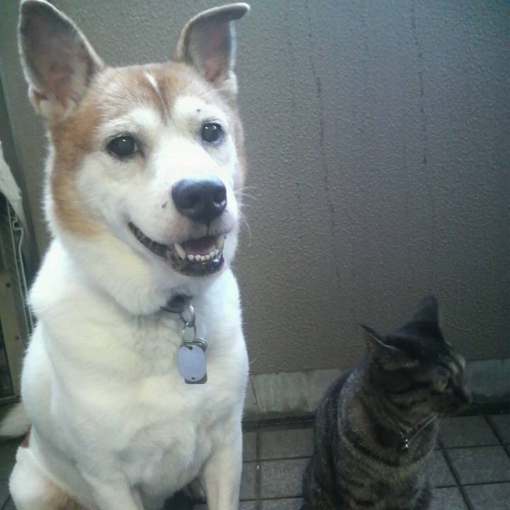 20eaf6f3 ba78 45ac bd9d ef58463c731d