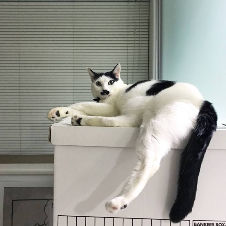 20eb9240 91e6 4159 ba4c c3c0d4099b06