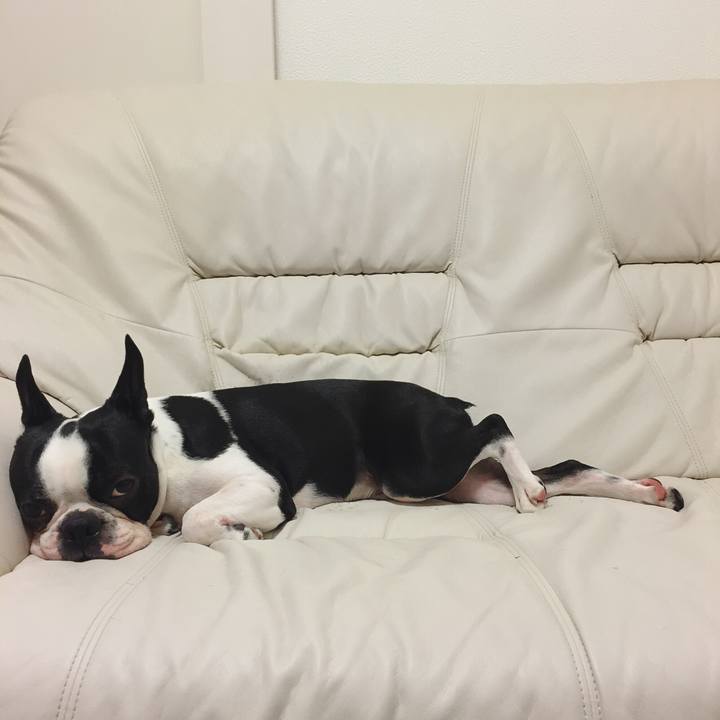 20ec193c 661e 45e1 840c 761df67fad8f