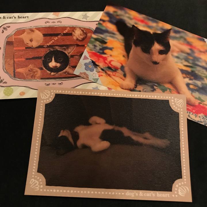 20ed081d 73b6 4c0e bbd0 6aca380fdee5