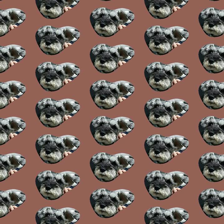 20ed98ff 033d 4e01 9dc0 9abec205e32f