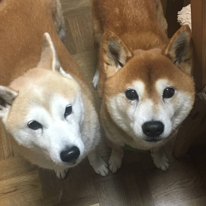 20eda3d2 5c06 43e1 9901 6011f7112e4c