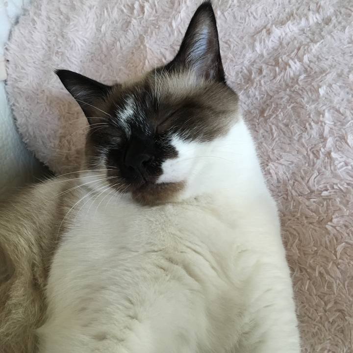 20eda7bd b4d6 4dc3 91a7 9a6cdda1cf23