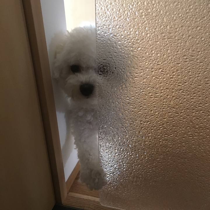 20ede387 743f 4bea bbd0 55386052aed5