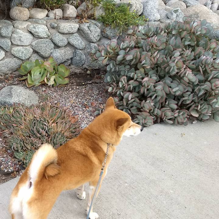 20ee07f8 78e7 4fed aaf0 76d9b7fd86a3