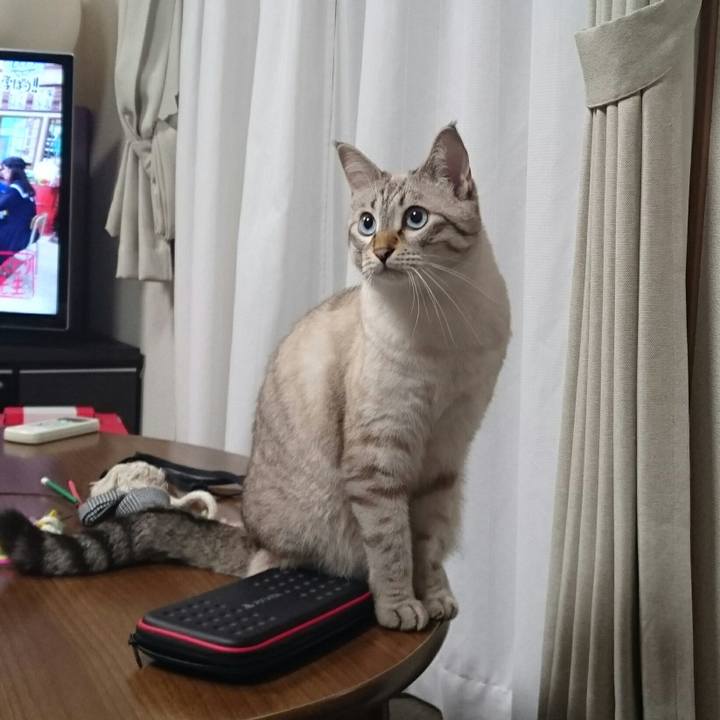 20ee64be 4040 4991 82ce d879d249c97c