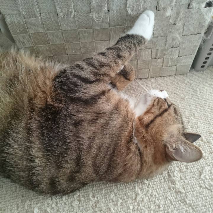 20eebb73 a435 4922 acaf 2c7e3cf35c9a