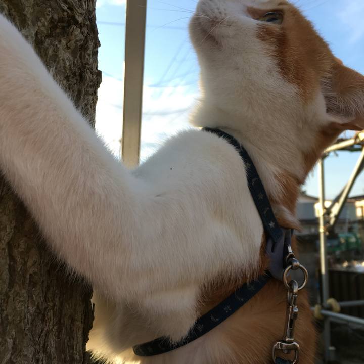 20ef3e0c d385 4325 aca2 0645a43f617a