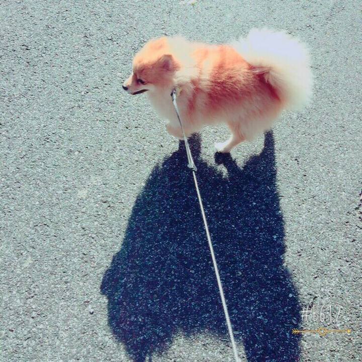 20efbba1 6bf4 486f 9a75 10ec2b8bfa2c