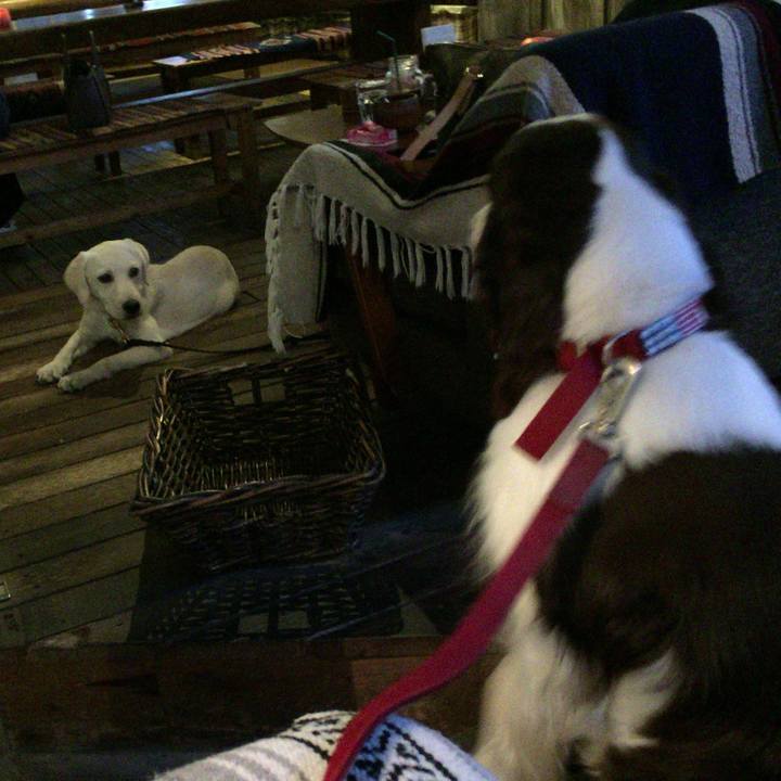 20f01826 468a 4587 a097 00af2c8815da