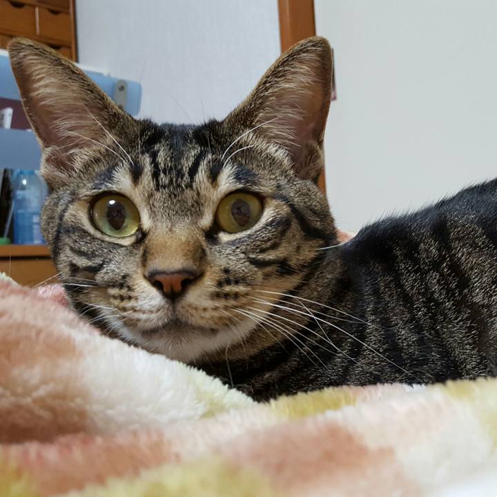 20f02d73 26cd 4679 93d7 704eda58d6cc