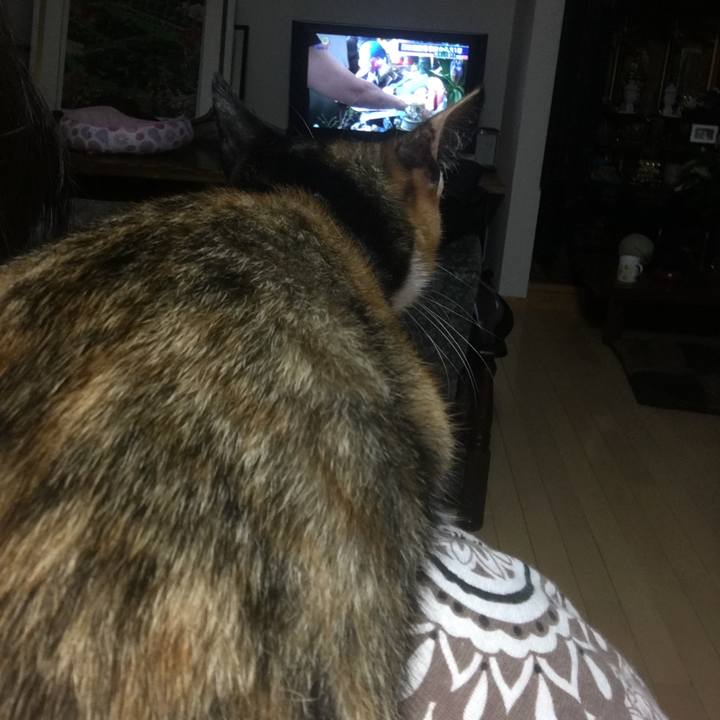 20f077b2 b95a 481f 8d21 9edc825a7a87