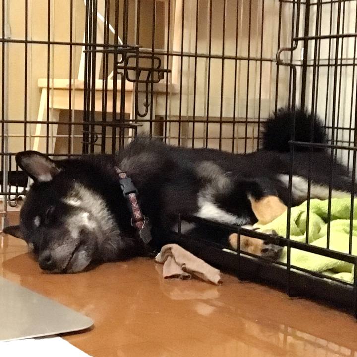 20f09505 4bf3 4b2e 96d3 d477c430f751