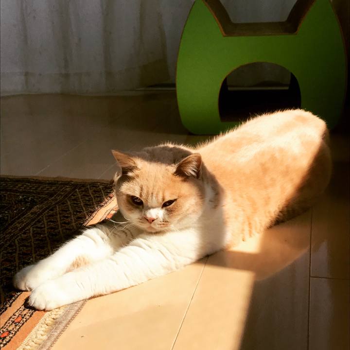 20f113cb 5202 418e b801 e6ca30e45c63