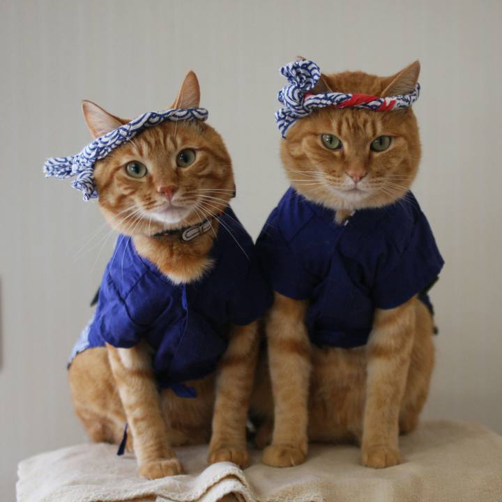 20f1288b fdb4 42b7 bb23 84f92e74f7ef