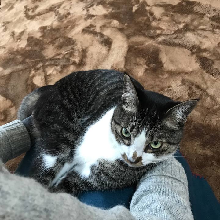 20f1621c 6b7f 4be7 870e 5505732c0326