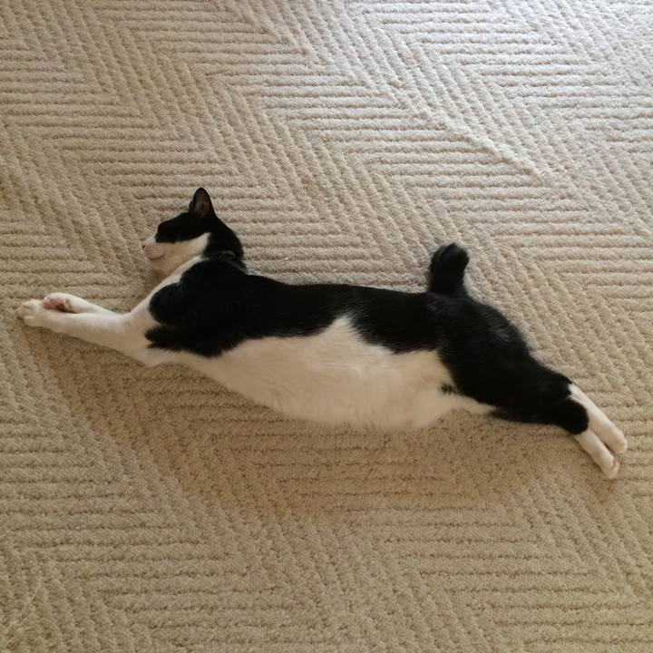 20f18467 48f9 4a38 97f9 d691480c631c