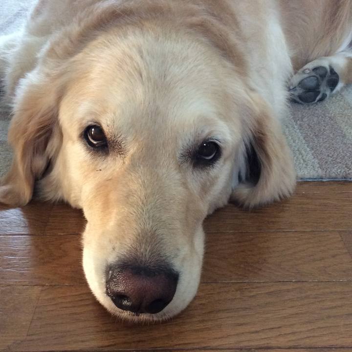 20f29b7a 08db 4104 82c4 994ff89ac242