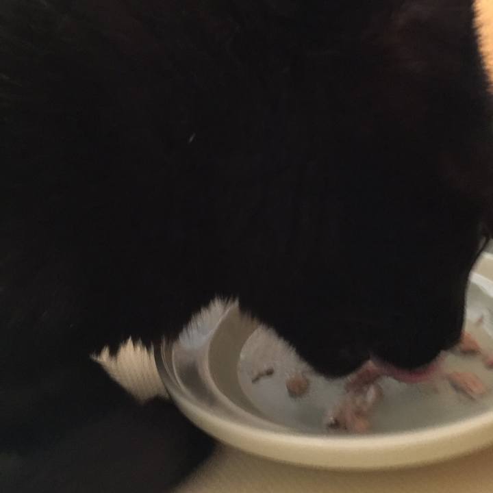 20f2d687 853f 4b60 8fd1 0c7e690d8a95