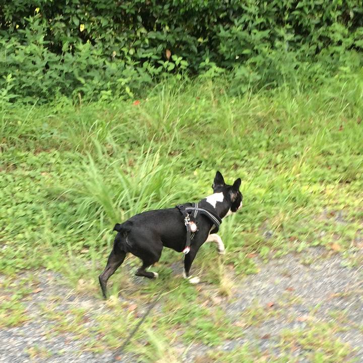 20f319ab af7c 4387 bc30 08119c9ceb82