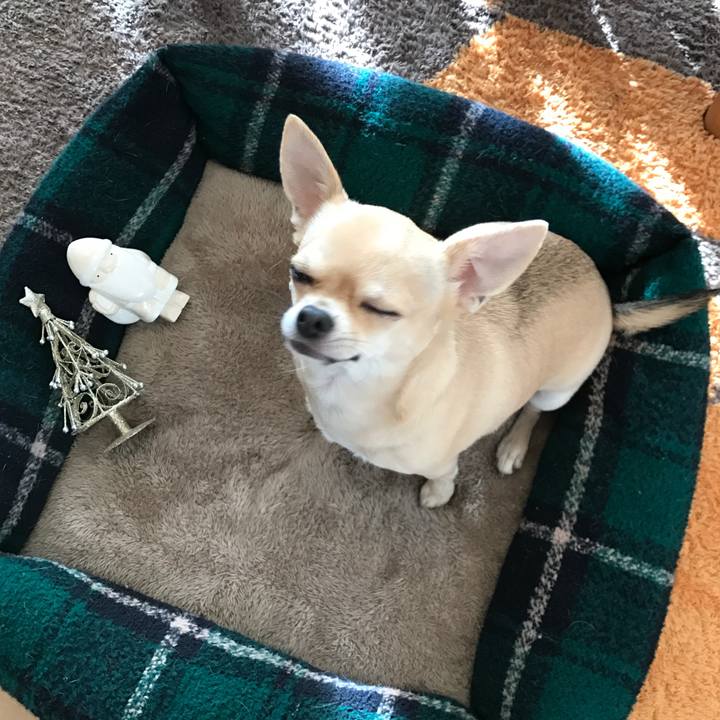 20f330e1 8bfb 4a21 8c5e 7df12768217f