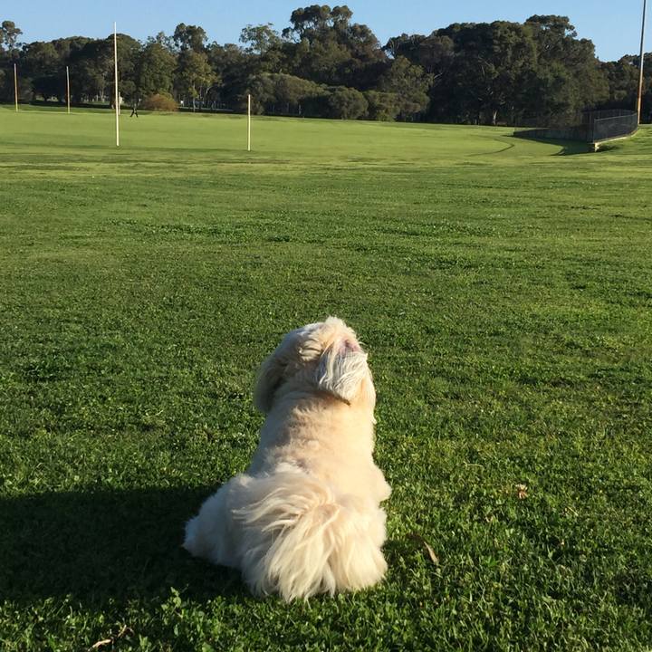 20f351a7 91cb 4f8b 9d39 46dd61d008c0