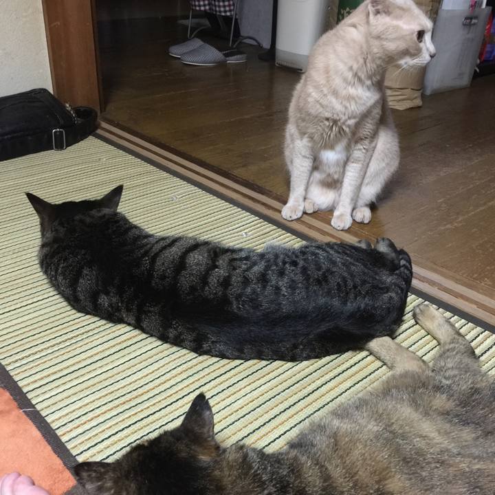 20f38c52 cb77 4018 9d1d f2aace619891