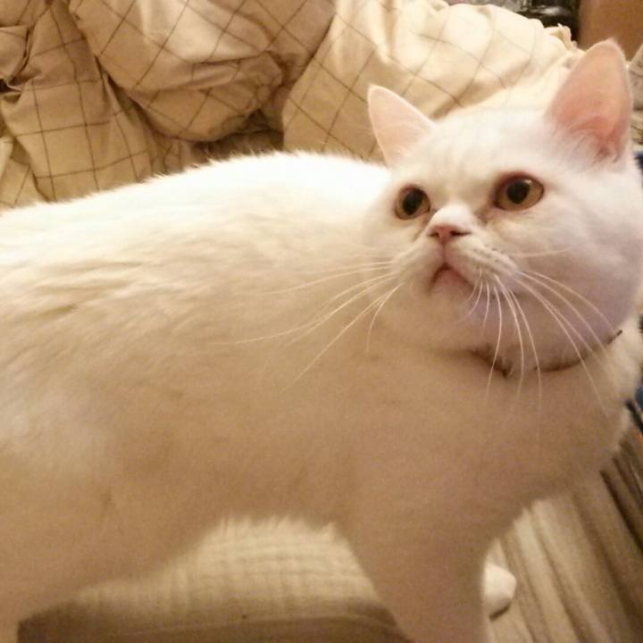 20f4158f 3583 4d70 8967 04381c73a707