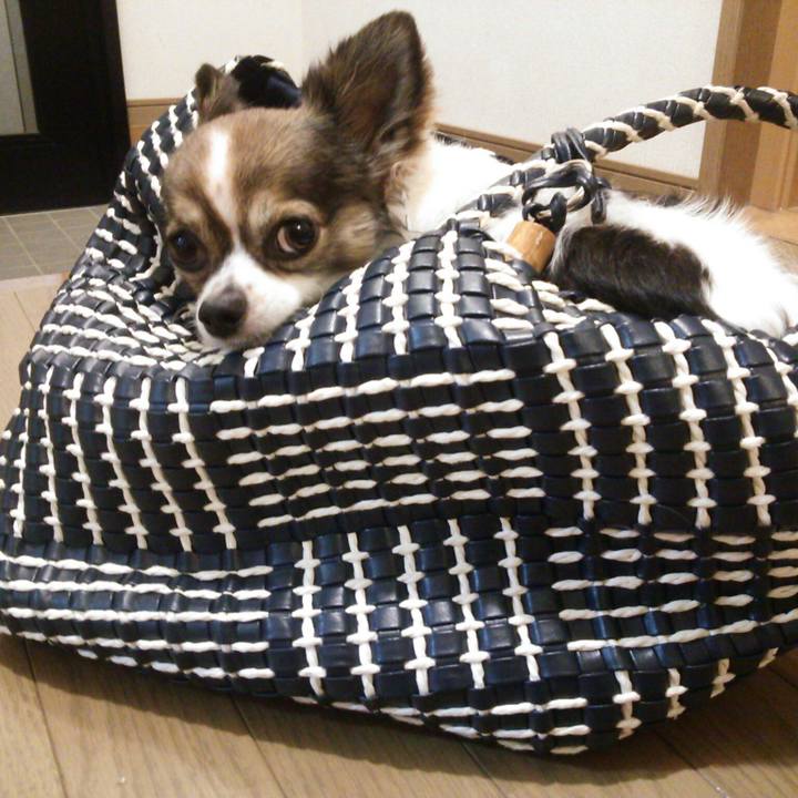 20f49650 4d84 4d21 85b0 de3bba8740f2