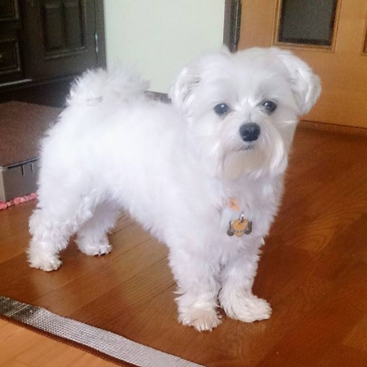 20f500a2 149a 4193 8b00 10bc916e244c