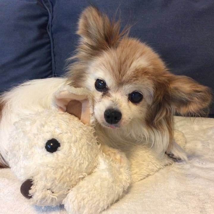 20f50df3 e0bf 4643 9247 a42c92478b1e