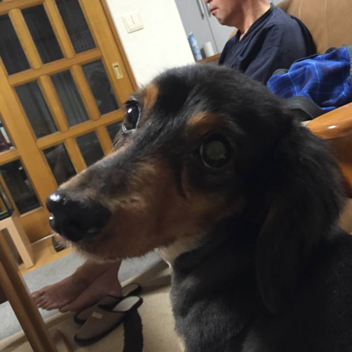 20f62244 ac2f 4bcc 8fd4 a83430b2e1d1