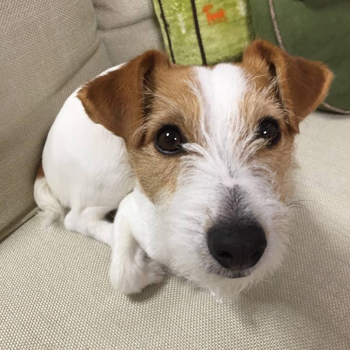 20f62268 95b3 445a 868a 1d3ea5dc7b1a