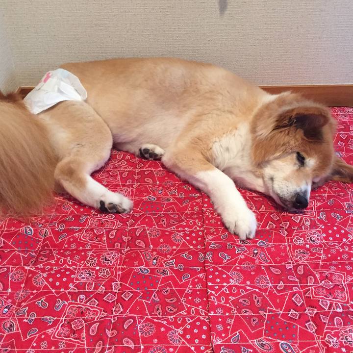 20f6446b db4c 42f9 8b91 66364a32977c