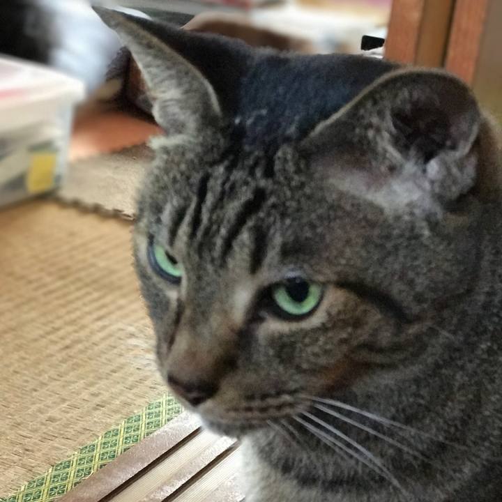 20f64f51 1d4a 4e32 bb39 b6477bd445d7