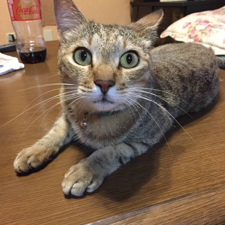 20f7001c d115 4f03 8ad3 d55915fcfd0e