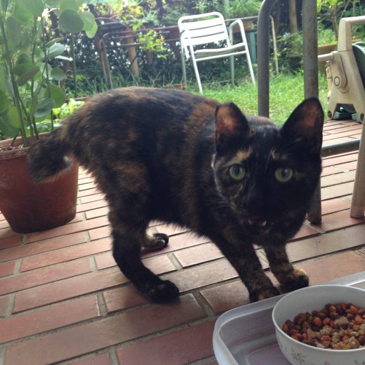 20f869f4 4be5 441f b83a 33aa05822139