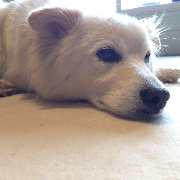 20f8b1ff 9dc5 44d9 aeee 841d97c23293