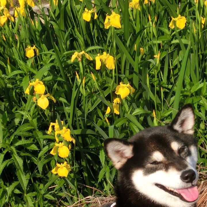 20f9e3da 18fd 4244 a5d2 447cbbaf509a