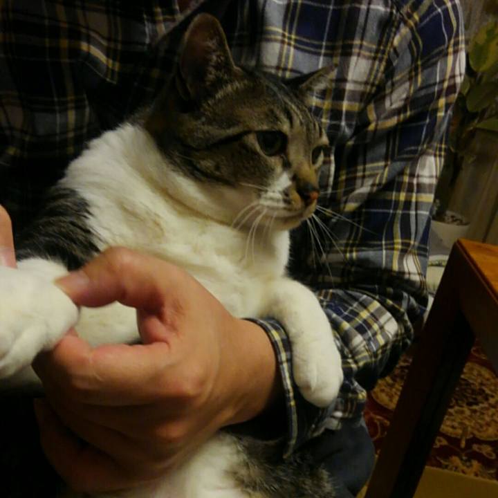 20fa0d3c 7f95 417b 846b 7738b14e2270