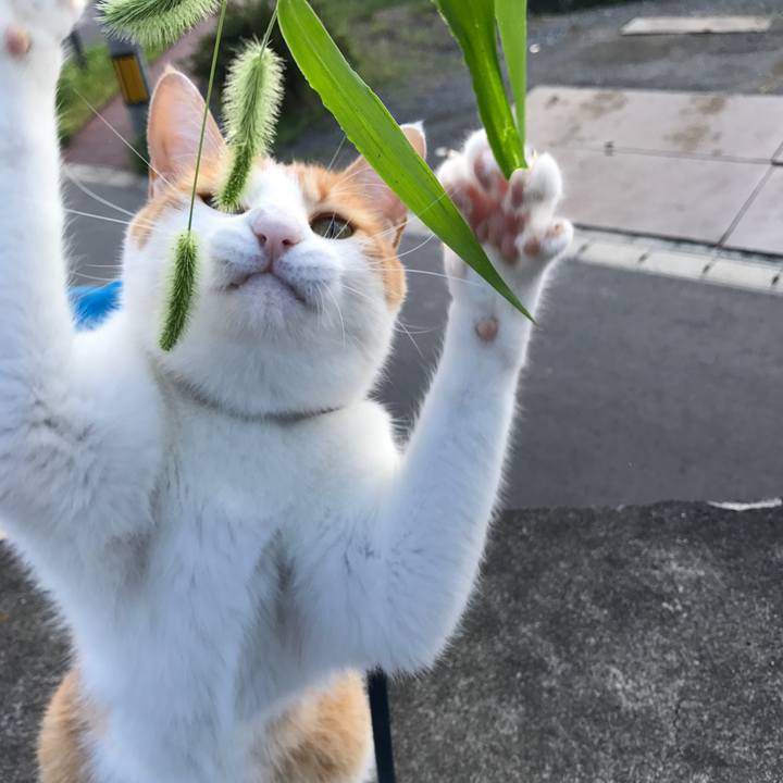 20fb8151 fc79 42e6 92ba 946fb0068ec9