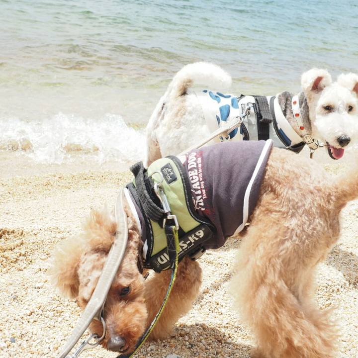 20fb94be 219f 42a1 9085 8bd8ad7cade9