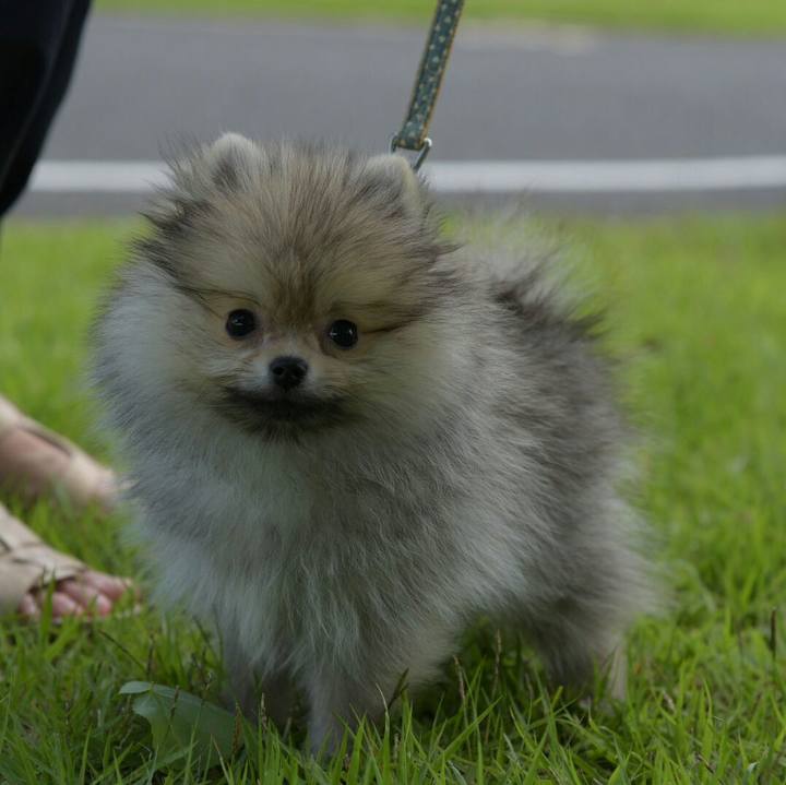 20fc138d 60a6 4040 b882 3aff23165d6e